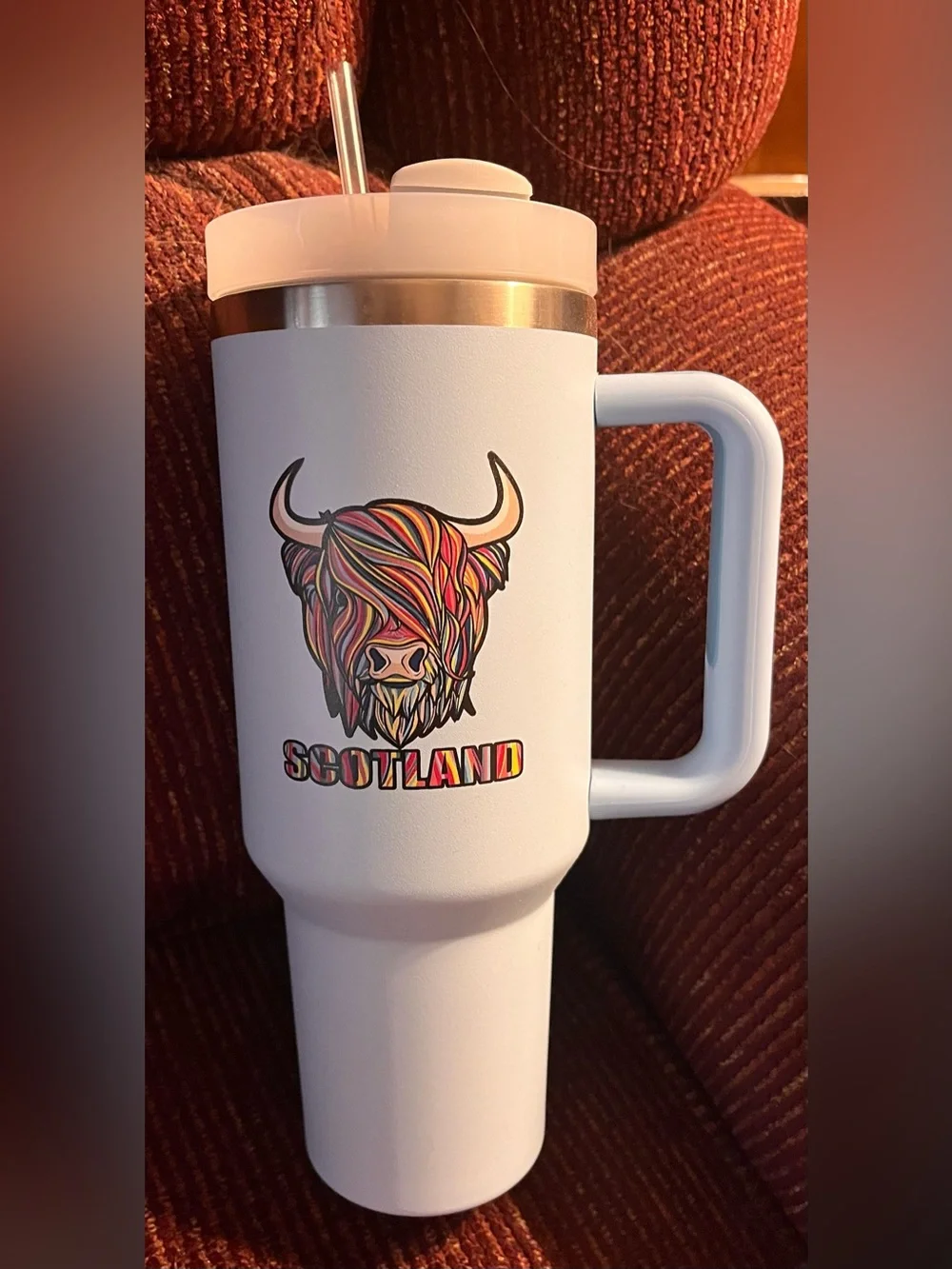 Highland Cow Stainless Tumbler